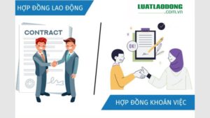 hợp đồng khoán việc vs hợp đồng lao động