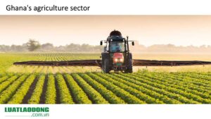 Ghana's agriculture sector